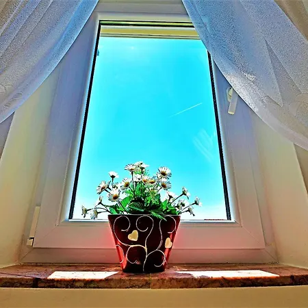 Apartments Tamara Hvar Town Room photo